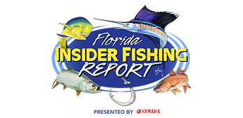 Insider Fishing Logo